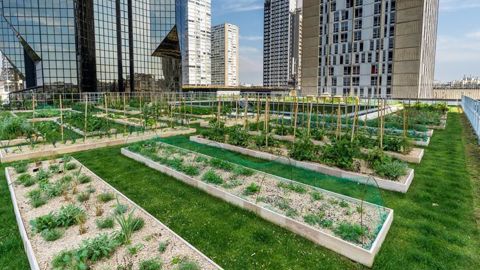 Mieux communiquer auprès des concepteurs sur les bénéfices apportés par les toitures végétalisées permettrait de les développer : une enquête menée par Ecovégétal montre que les professionnels craignent encore trop les surcoûts liés à leur mise en place. ©Ecovégétal